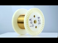 Filtro di tungsteno placcato oro